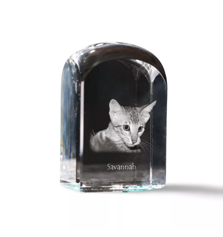 Savanne - Kristallwürfel mit Bild, Katzenbild im Kristall, sechseckiger Papierclip von der Marke Art-Dog