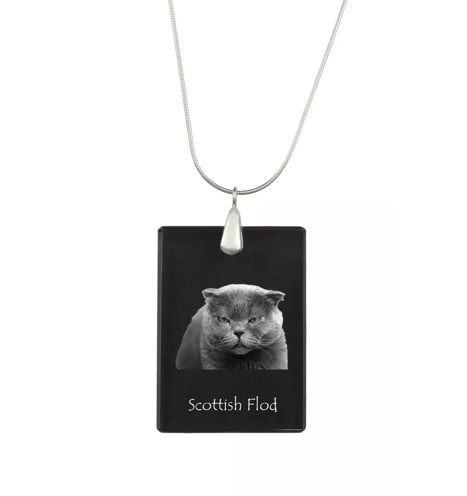 Scottish Fold - Crystal pendant with cat, silver necklace with photo, personalised pendant by Art-Dog brand
