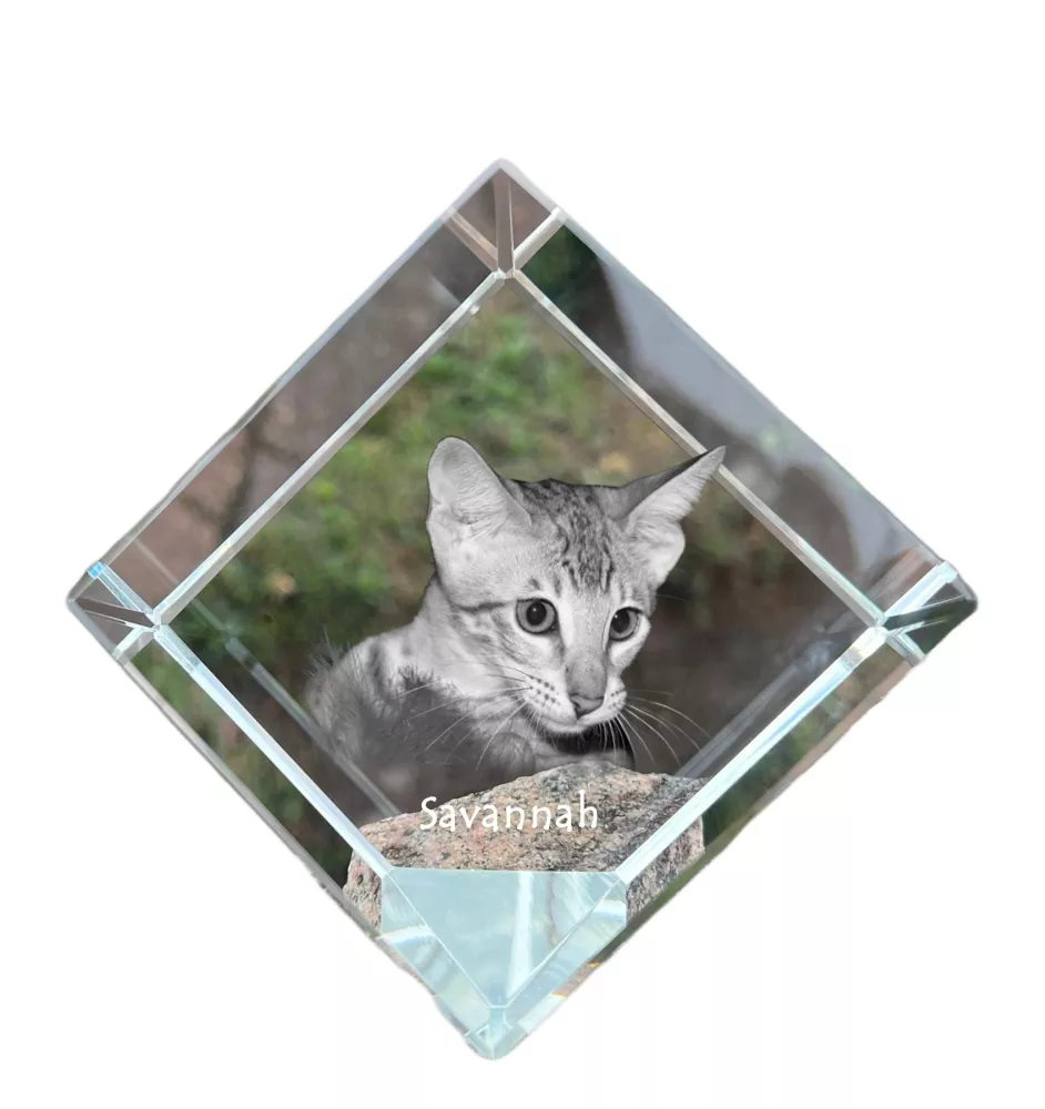 Savannah - crystal cube with a picture of a cat, crystal with a picture of a horse, cubic paperweight by Art-Dog brand