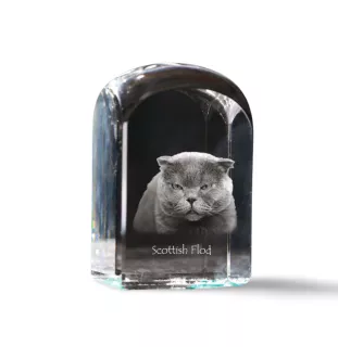 Schottische Falte - Kristallwürfel mit Bild, Katzenbild im Kristall, sechseckiger Papierclip von der Marke Art-Dog