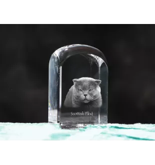 Fold écossais - un cube en cristal avec une photo, une photo de chat dans le cristal, un presse-papiers cubique de la marque Art-Dog