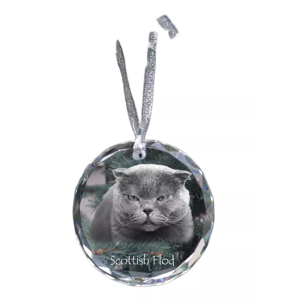 Schottische Falte - Kristallkugel mit Foto, Katzenfoto im Kristall, personalisierter Weihnachtsbaumanhänger von Art-Dog.