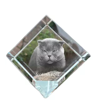 Fold écossais - un cube en cristal avec une photo de chat, une photo de cheval dans le cristal, un presse-papiers cubique de la marque Art-Dog