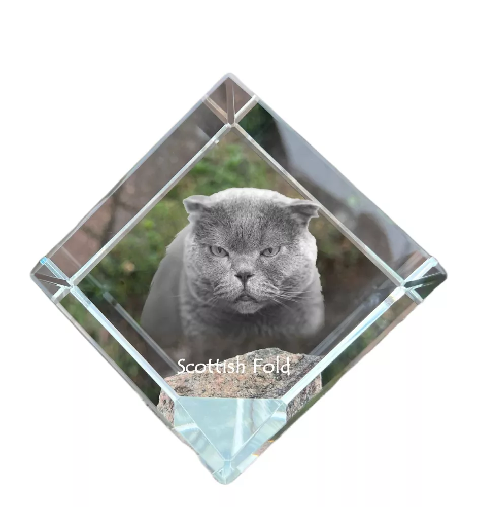 Fold écossais - un cube en cristal avec une photo de chat, une photo de cheval dans le cristal, un presse-papiers cubique de la marque Art-Dog