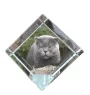 Scottish Fold - crystal cube with a picture of a cat, crystal with a picture of a horse, cubic paperweight by Art-Dog brand