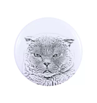 Scottish Fold - collection of unique magnets, own photo, Art-Dog brand