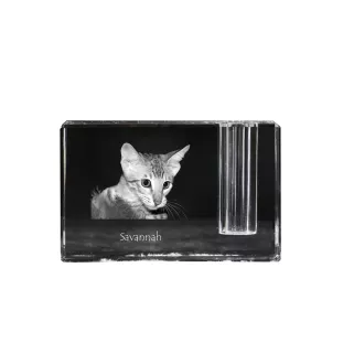 Savannah - Pen stand, crystal organiser with cat photo, unique desk decoration by Art-Dog brand