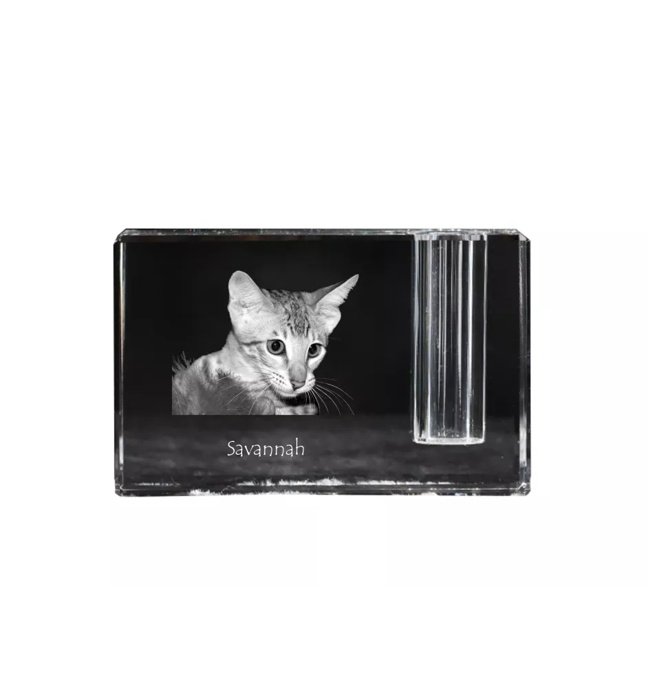Savannah - Porte-stylos, organiseur en cristal avec photo de chat, décoration de bureau unique par la marque Art-Dog