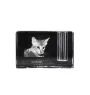 Savannah - Pen stand, crystal organiser with cat photo, unique desk decoration by Art-Dog brand
