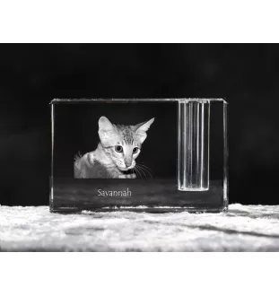 Savannah - Porte-stylos, organiseur en cristal avec photo de chat, décoration de bureau unique par la marque Art-Dog