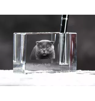 Scottish Fold - Pen stand, crystal organiser with cat photo, unique desk decoration by Art-Dog brand