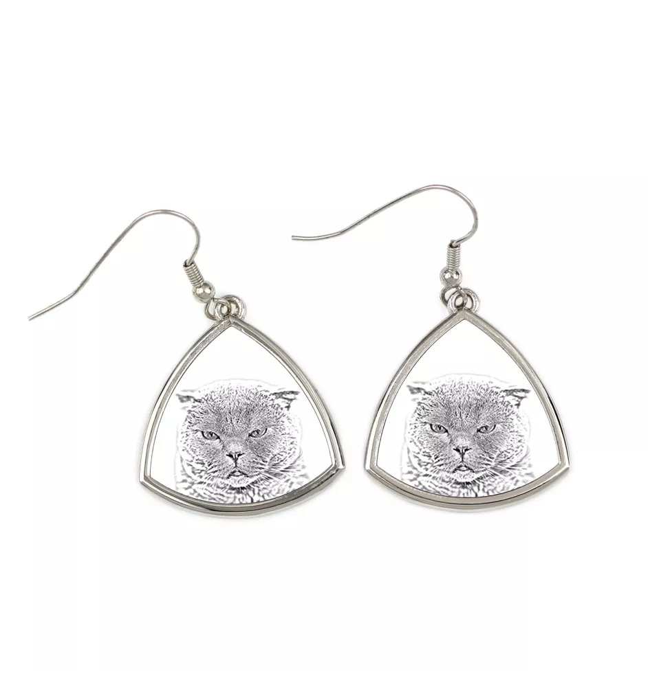 Scottish Fold - cat earrings, hanging earrings with a picture, personalized jewelry with Art-Dog brand print.