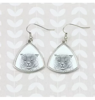 Scottish Fold - cat earrings, hanging earrings with a picture, personalized jewelry with Art-Dog brand print.