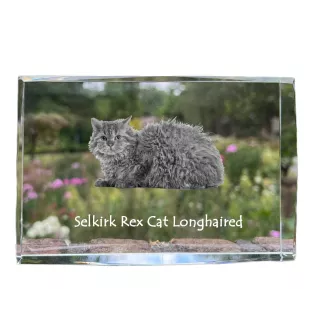 Selkirk Rex Kot długowłosy kryształ z kotem Art-Dog