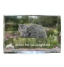 Selkirk Rex Cat Longhaired - crystal with a picture of a cat, photo in glass, modern exhibition of Art-Dog brand photo