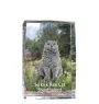 Selkirk Rex Katze Kurzhaar - Kristall mit einem Katzenbild, Bild im Glas, moderne Ausstellung des Art-Dog-Fotos.