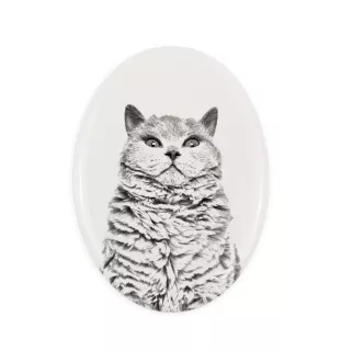 Chat Selkirk Rex à poil court - une plaque commémorative avec une photo de chat, une plaque funéraire avec une impression, une plaque ovale personnalisée de la marque Art-Dog