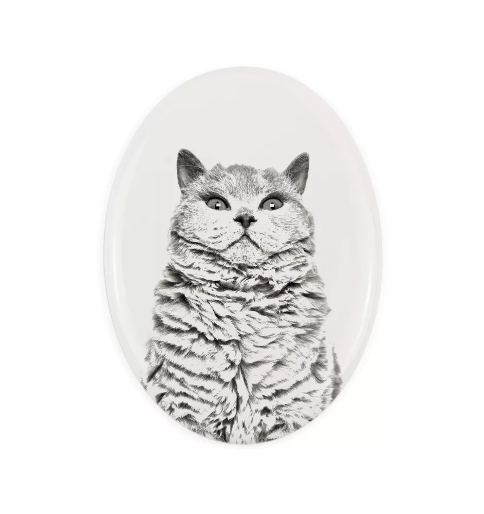 Selkirk Rex Cat Shorthaired - commemorative plaque with a cat photo, tombstone with a print, personalized oval plaque from the Art-Dog brand