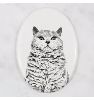 Selkirk Rex Katze Kurzhaar - Gedenktafel mit einem Foto einer Katze, Grabplatte mit Druck, personalisierte ovale Platte der Marke Art-Dog