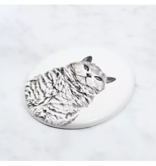 Chat Selkirk Rex à poil court - une plaque commémorative avec une photo de chat, une plaque funéraire avec une impression, une plaque ovale personnalisée de la marque Art-Dog