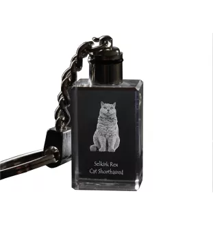 Chat Selkirk Rex à poil court - Pendentif en cristal avec photo de chat, pendentif lumineux, cadeau unique de la marque Art-Dog