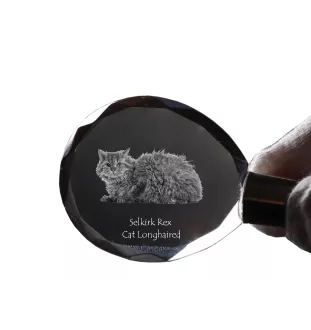 Selkirk Rex Katze Langhaar - Fob with cat photo, crystal key ring in gift box, unique gift by Art-Dog brand