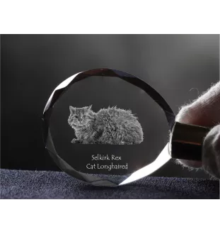 Selkirk Rex Katze Langhaar - Fob with cat photo, crystal key ring in gift box, unique gift by Art-Dog brand