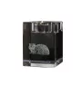 Selkirk Rex Longhaired - Candle holder with cat photo, crystal tealight holder, personalised gift by Art-Dog brand