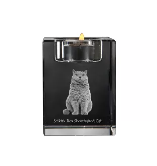 Selkirk Rex Shorthaired - Candle holder with cat photo, crystal tealight holder, personalised gift by Art-Dog brand