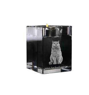 Selkirk Rex Shorthaired - Candle holder with cat photo, crystal tealight holder, personalised gift by Art-Dog brand