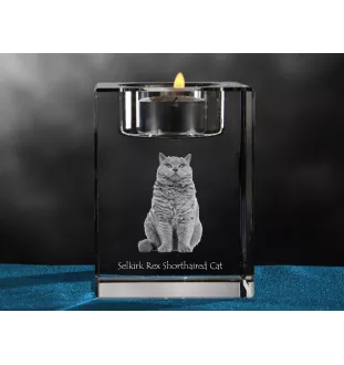 Selkirk Rex Shorthaired - Candle holder with cat photo, crystal tealight holder, personalised gift by Art-Dog brand