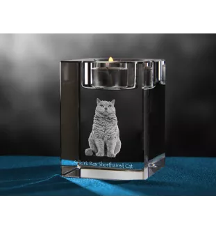 Selkirk Rex Shorthaired - Candle holder with cat photo, crystal tealight holder, personalised gift by Art-Dog brand