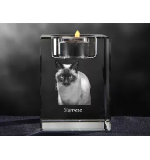 Syjamski świecznik kryształowy z kotem Art-Dog