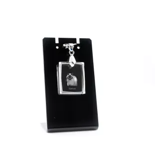 Siam - Crystal cat pendant, photo necklace, unique jewellery by Art-Dog