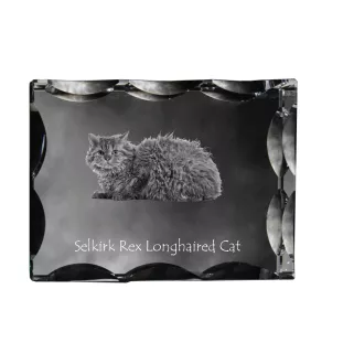 Selkirk Rex Cat Longhaired - crystal with a cat picture, glass statuette with a picture, unique frame with a picture from Art-Dog brand