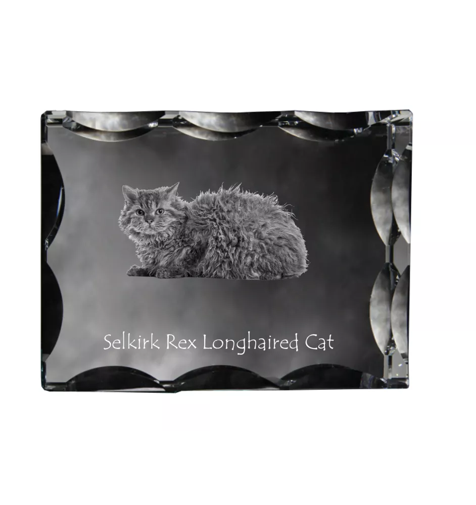 Selkirk Rex Cat Longhaired - crystal with a cat picture, glass statuette with a picture, unique frame with a picture from Art-Dog brand