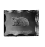 Selkirk Rex Cat Longhaired - crystal with a cat picture, glass statuette with a picture, unique frame with a picture from Art-Dog brand