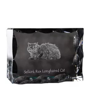 Chat Selkirk Rex à poil long - cristal avec une photo de chat, une statuette en verre avec une photo, un cadre exceptionnel avec une photo de la marque Art-Dog