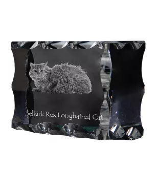 Selkirk Rex Cat Longhaired - crystal with a cat picture, glass statuette with a picture, unique frame with a picture from Art-Dog brand