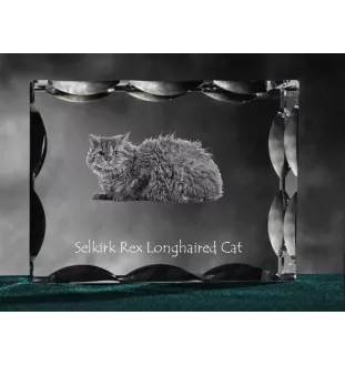 Selkirk Rex Cat Longhaired - crystal with a cat picture, glass statuette with a picture, unique frame with a picture from Art-Dog brand