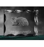 Selkirk Rex Cat Longhaired - crystal with a cat picture, glass statuette with a picture, unique frame with a picture from Art-Dog brand