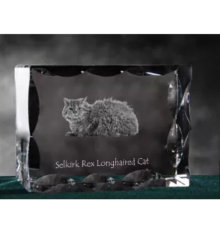 Selkirk Rex Cat Longhaired - crystal with a cat picture, glass statuette with a picture, unique frame with a picture from Art-Dog brand