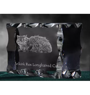 Selkirk Rex Katze Langhaar - Kristall mit Katzenbild, Glasstatuette mit Bild, einzigartiger Bilderrahmen der Marke Art-Dog