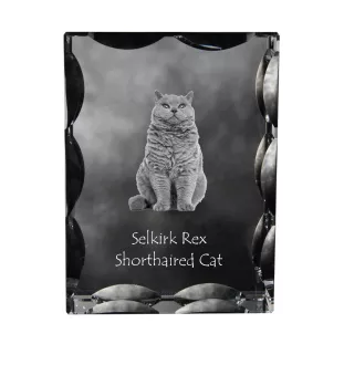 Selkirk Rex Cat Shorthaired - crystal with a cat picture, glass statuette with a picture, unique frame with a picture from Art-Dog brand