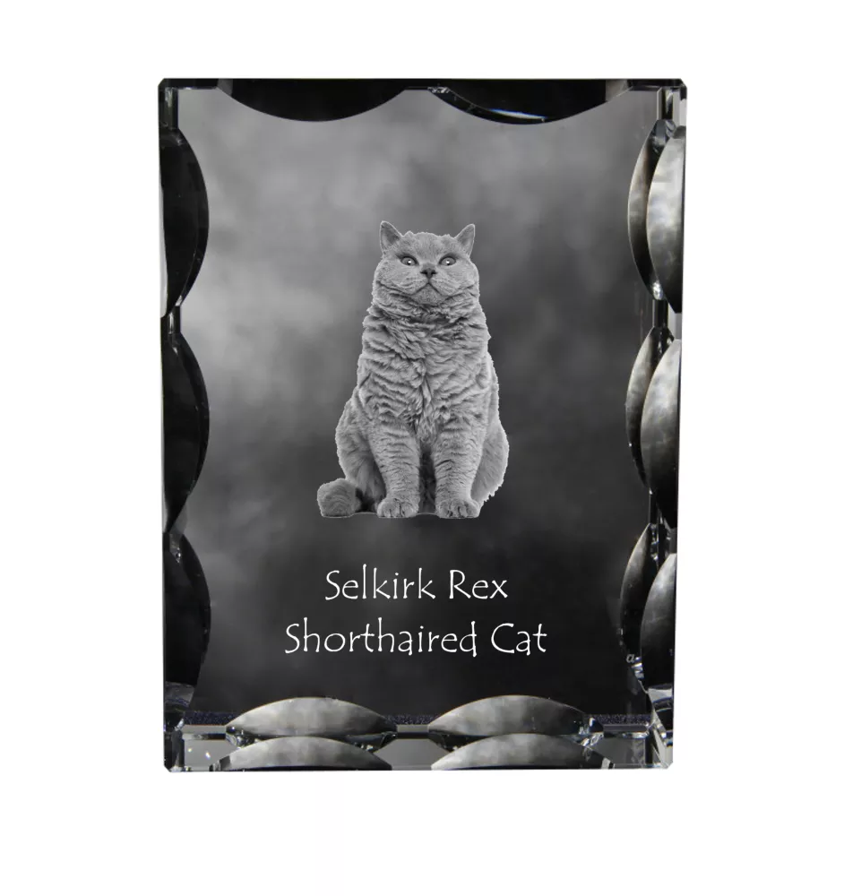 Selkirk Rex Cat Shorthaired - crystal with a cat picture, glass statuette with a picture, unique frame with a picture from Art-Dog brand