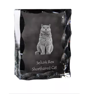 Selkirk Rex Katze Kurzhaar - Kristall mit Katzenbild, Glasstatuette mit Bild, einzigartiger Bilderrahmen der Marke Art-Dog