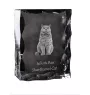 Selkirk Rex Cat Shorthaired - crystal with a cat picture, glass statuette with a picture, unique frame with a picture from Art-Dog brand