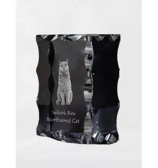 Selkirk Rex Cat Shorthaired - crystal with a cat picture, glass statuette with a picture, unique frame with a picture from Art-Dog brand