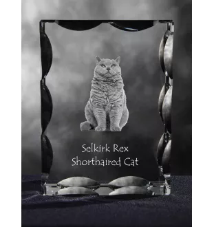 Selkirk Rex Cat Shorthaired - crystal with a cat picture, glass statuette with a picture, unique frame with a picture from Art-Dog brand