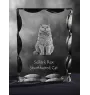 Selkirk Rex Cat Shorthaired - crystal with a cat picture, glass statuette with a picture, unique frame with a picture from Art-Dog brand